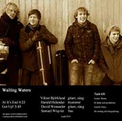 Waiting Waters: Harald Helander, Samuel Wiqvist, Viktor Björklund, David Wenander