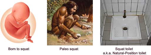 Squatting Fetus, squatting Cro-Magnon, and squat toilet
